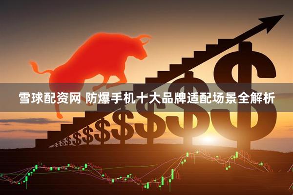 雪球配资网 防爆手机十大品牌适配场景全解析