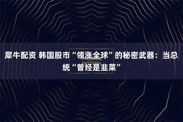 犀牛配资 韩国股市“领涨全球”的秘密武器：当总统“曾经是韭菜”